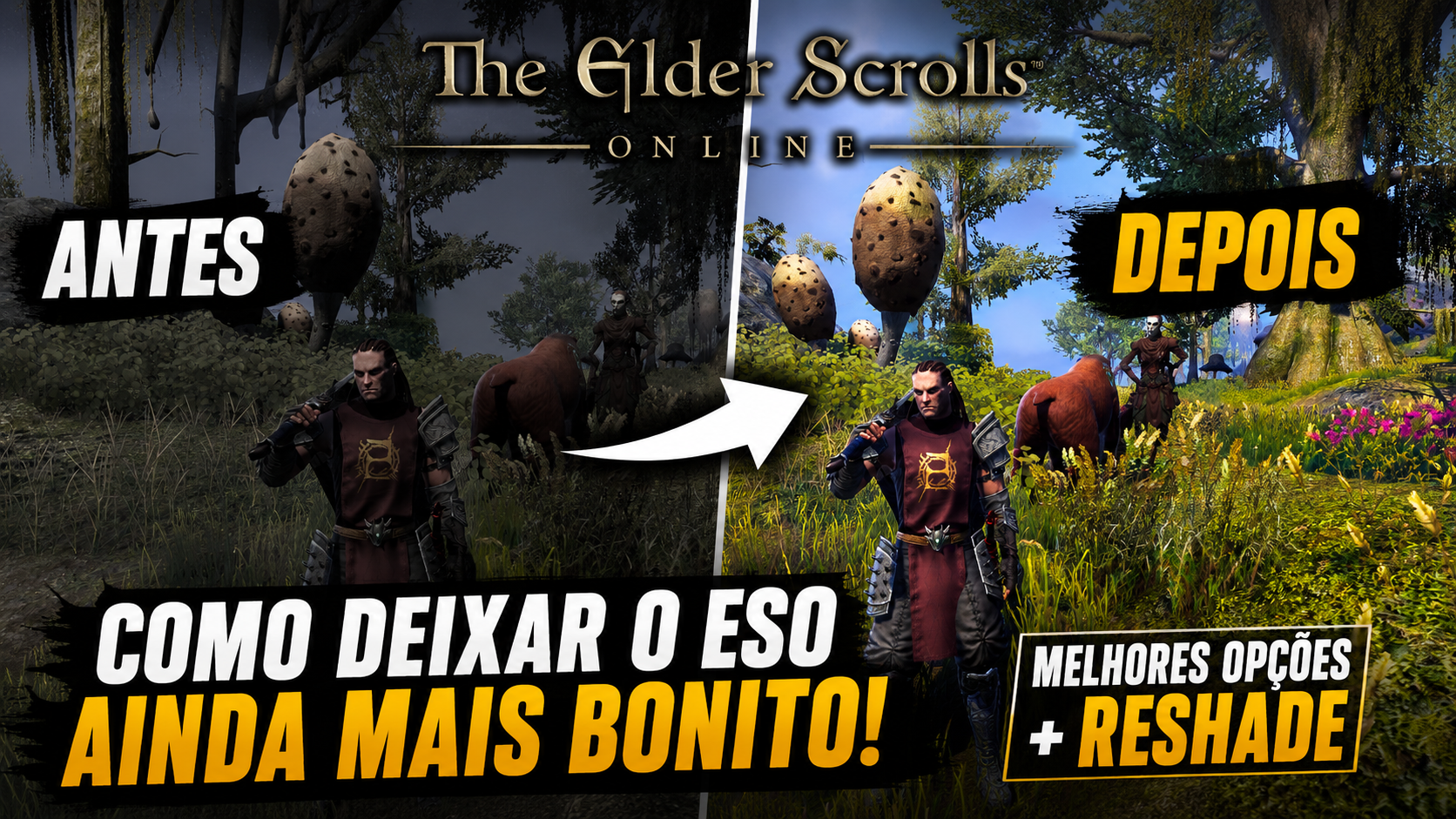 No momento, você está visualizando Melhore os Gráficos do ESO em 2026! Como Configurar o Jogo e Instalar ReShade (Fácil!)